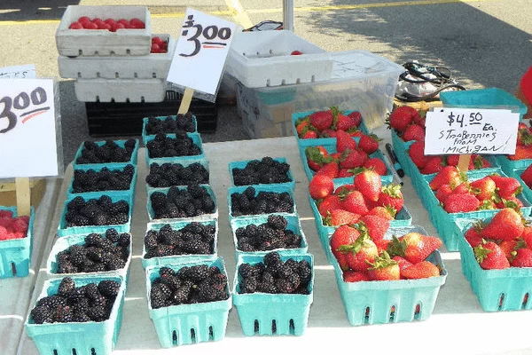 2022 Downtown Summer Friday Farmers and Artisans Market